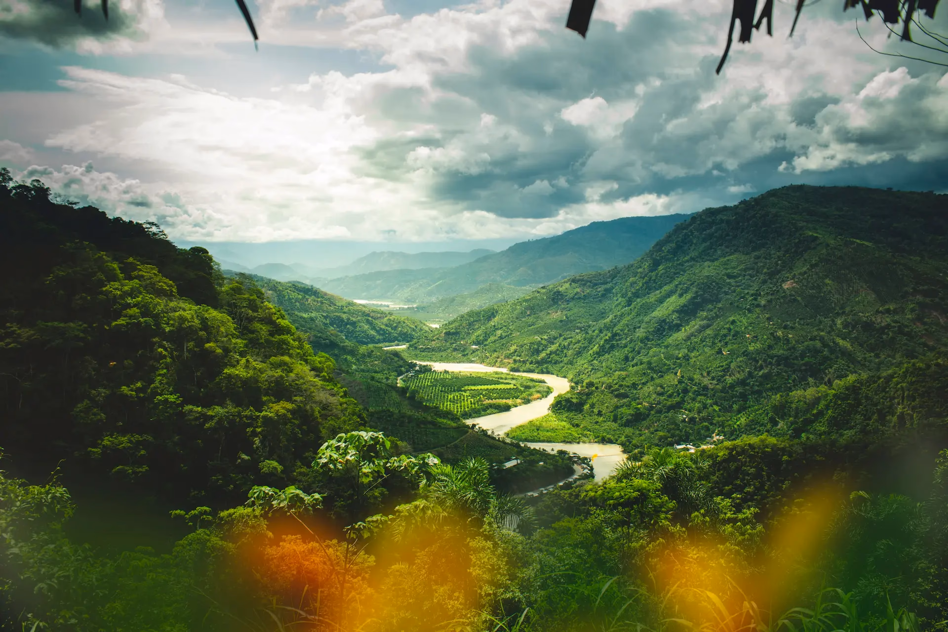 Río Amazonas y Selva Peruana