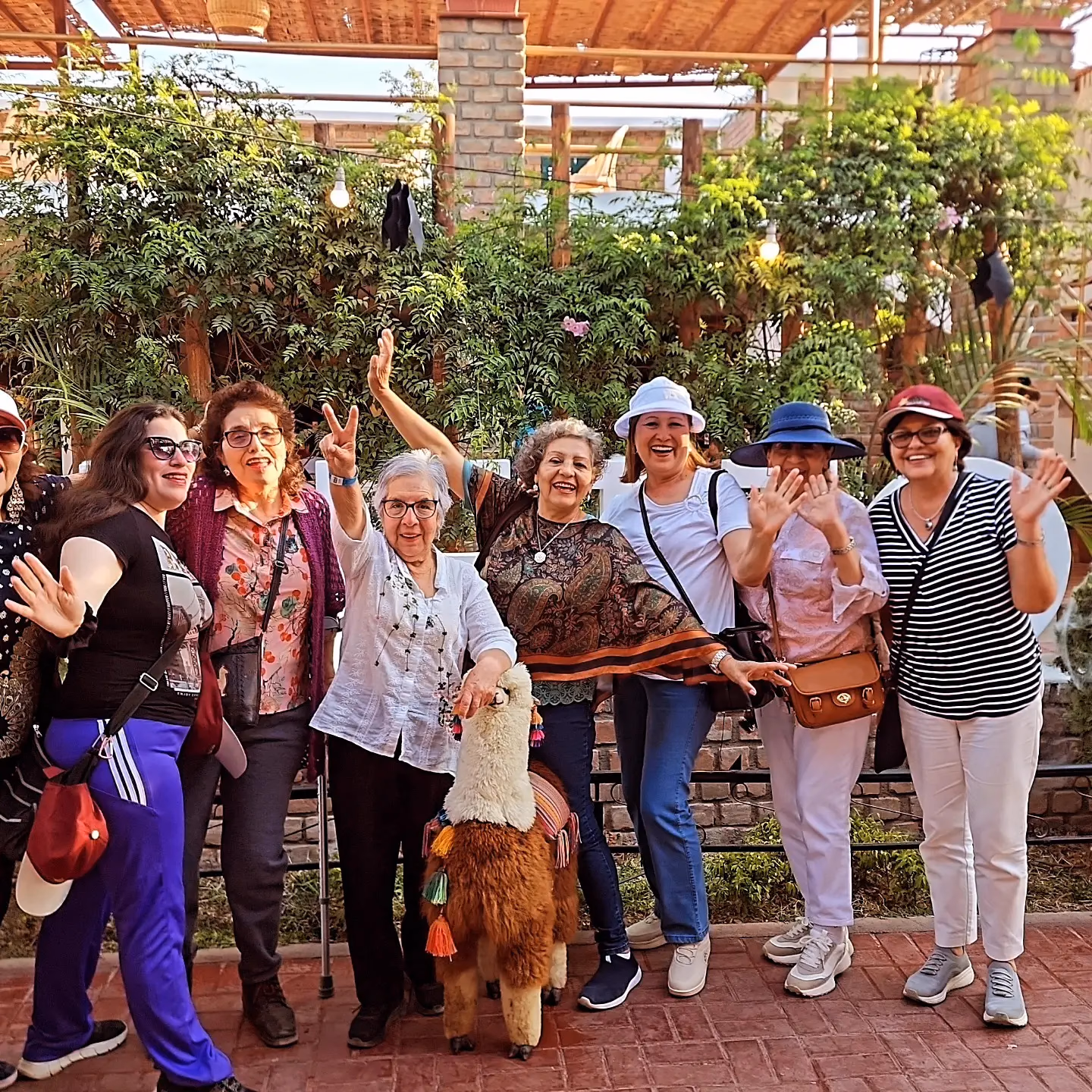Kerala Tours en acción